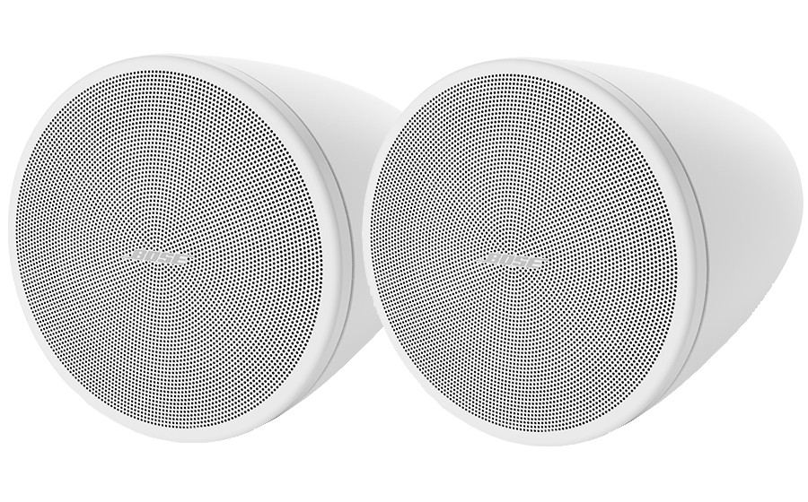 Bose DesignMax DM3P - 44790