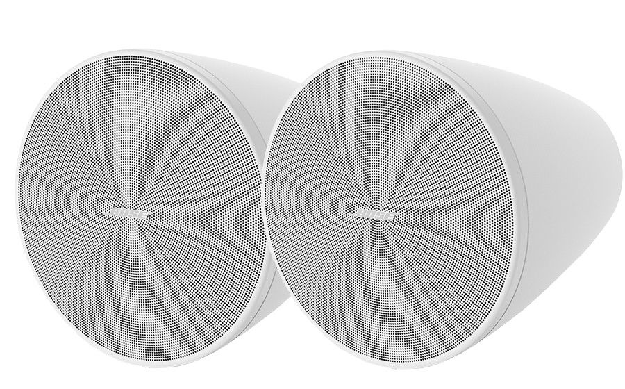 Bose DesignMax DM5P - 44791