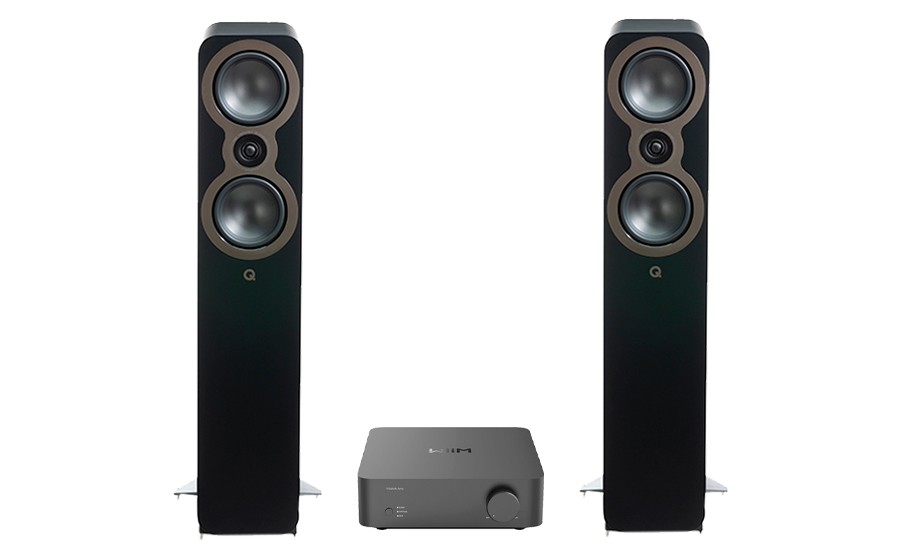 Wiim Vibelink Amp + 3050c - 53701
