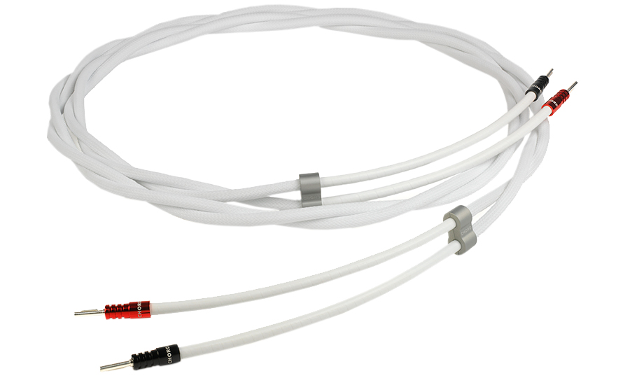The Chord Company Sarum T Speaker cable - 24853