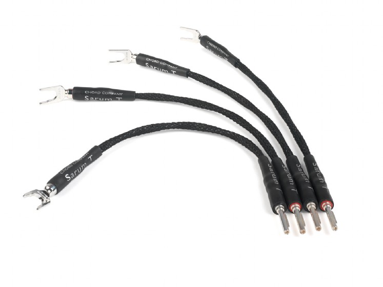 The Chord Company Sarum T bi-wire - 32084
