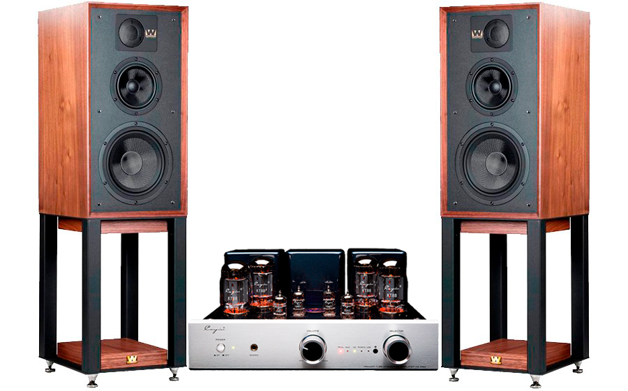 Cayin CS-55A + Linton + Stands - 44661