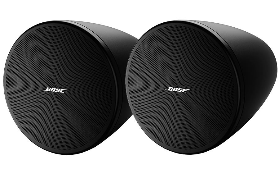 Bose DesignMax DM3P - 44790